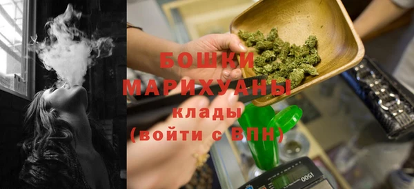 хмурый Бронницы